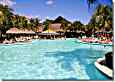 Hotel RIU Yucatan - Pool