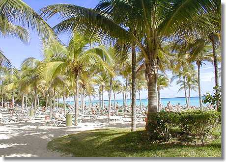 Hotel RIU Yucatan - Strand
